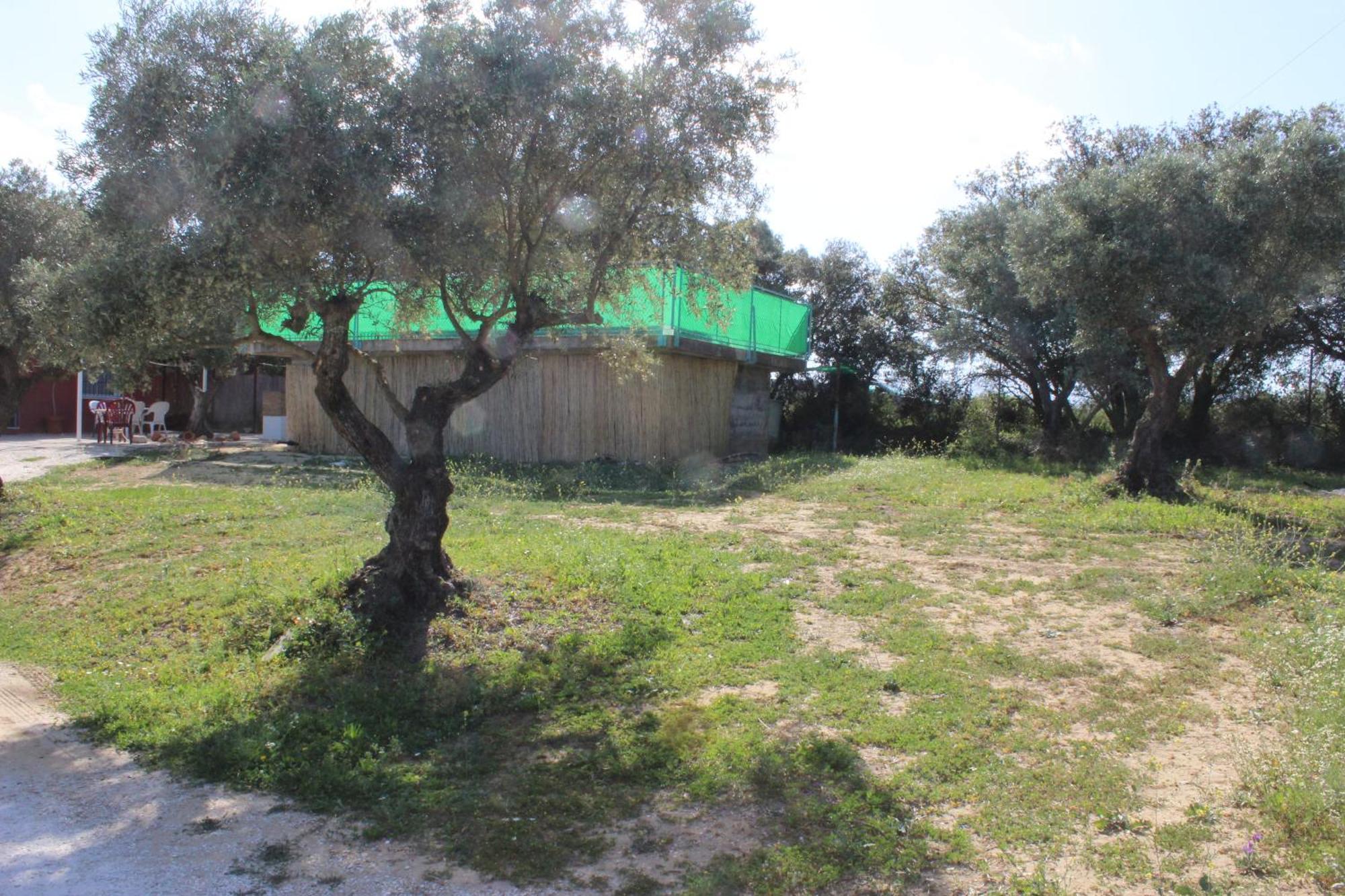 Casa De Campo En Coín Exteriör bild
